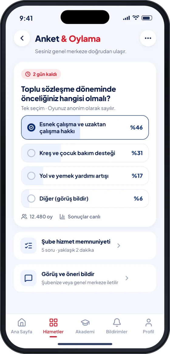 Anket ve oylama ekranı
